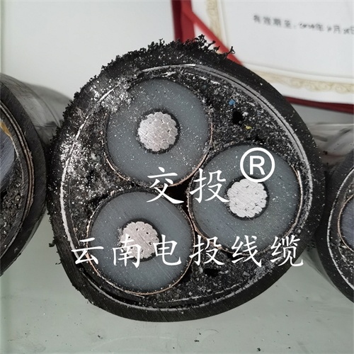 jinyijituan.com