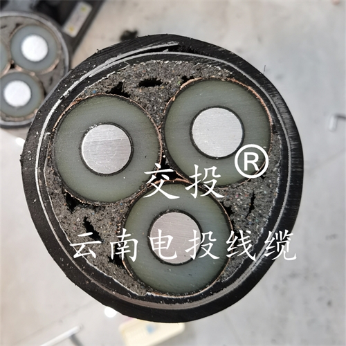 jinyijituan.com