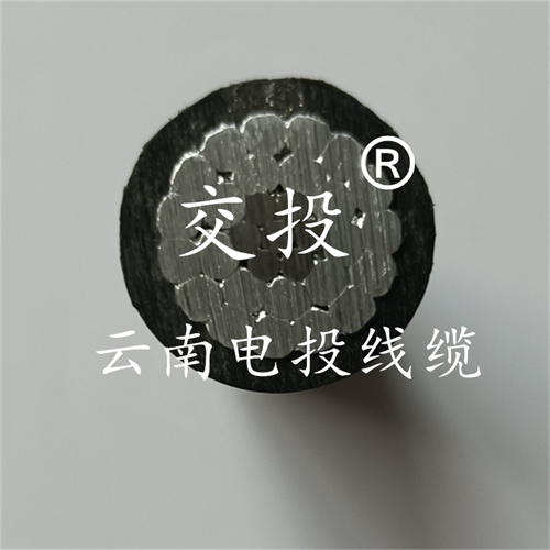 jinyijituan.com